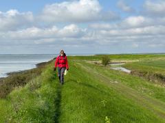 More sea wall!  The path got a little more grassy the further we went from Burnham.